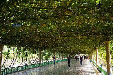 《符文工房 龙之天地》首次特卖明日开启！Steam版限时8折优惠